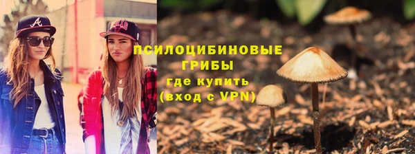 бутират Кукмор