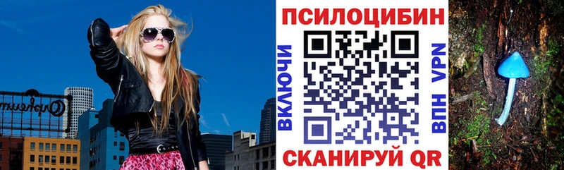 Псилоцибиновые грибы мицелий  blacksprut онион  Тольятти 